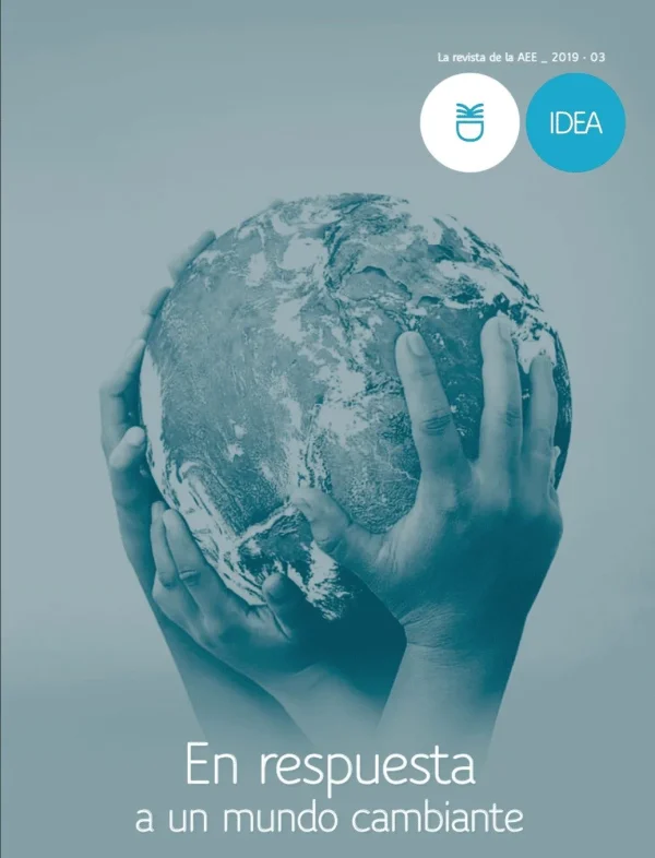 IDEA 2019, Nº3